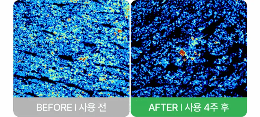 [저자극/피지지우개] 풀리 피지 멜팅크림 투 오일 50ml (단품/기획) 상세페이지 20